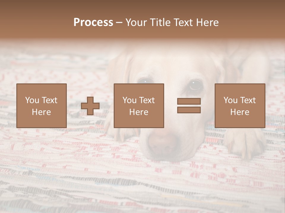Home Resting Big PowerPoint Template