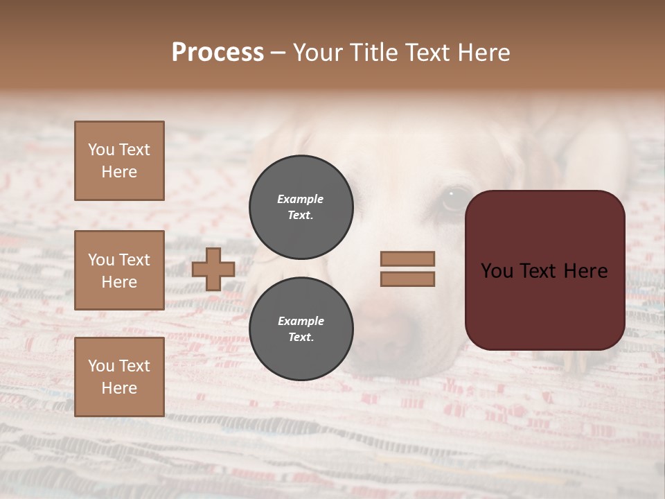 Home Resting Big PowerPoint Template