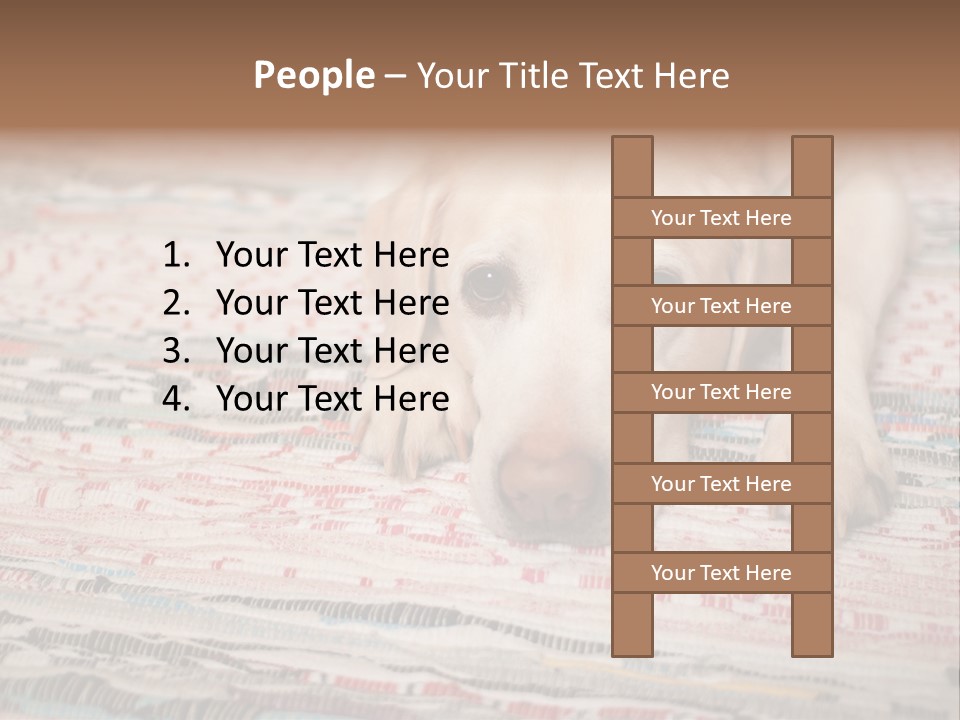 Home Resting Big PowerPoint Template