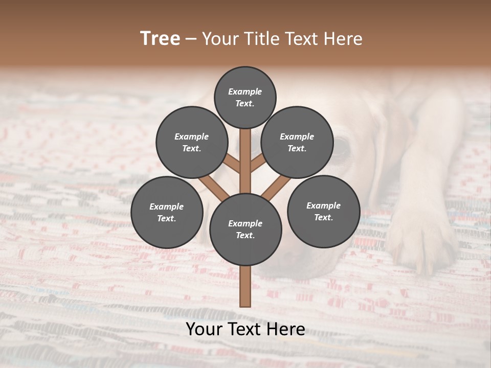 Home Resting Big PowerPoint Template