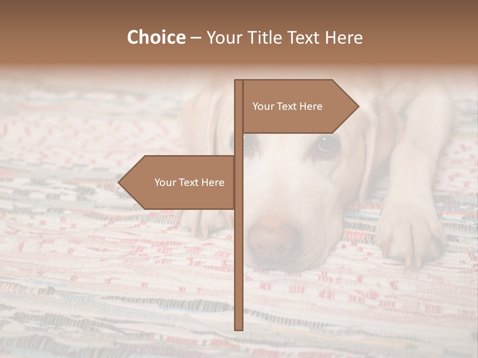 Home Resting Big PowerPoint Template