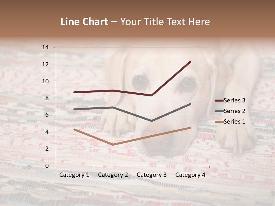 Home Resting Big PowerPoint Template