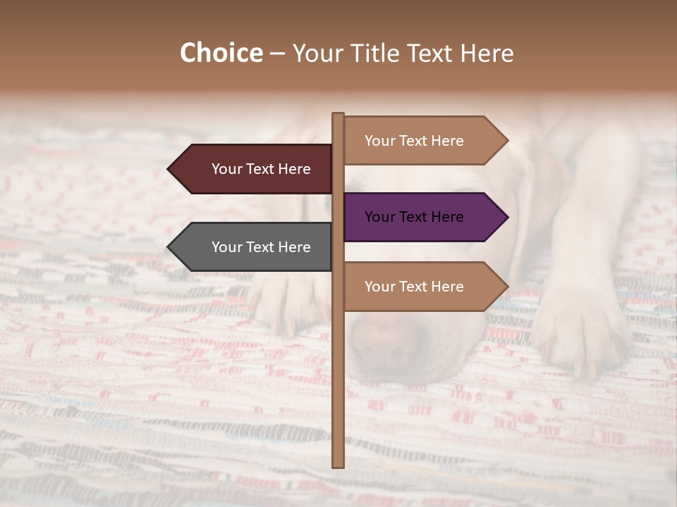 Home Resting Big PowerPoint Template