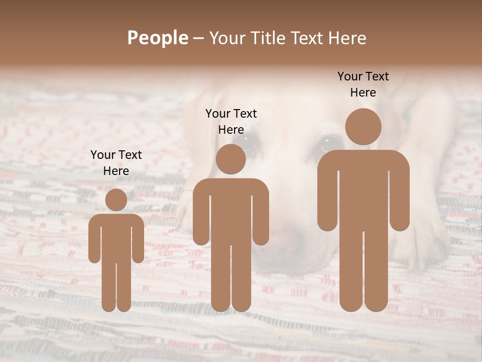 Home Resting Big PowerPoint Template