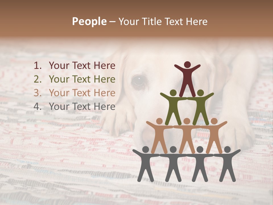 Home Resting Big PowerPoint Template