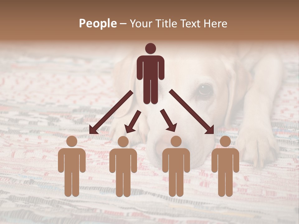 Home Resting Big PowerPoint Template