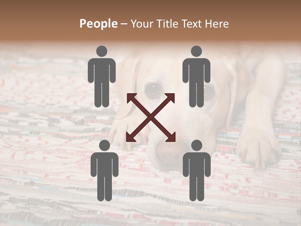 Home Resting Big PowerPoint Template