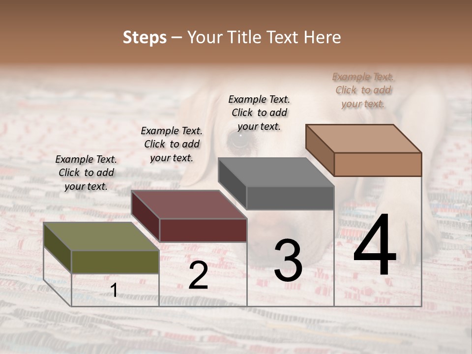 Home Resting Big PowerPoint Template