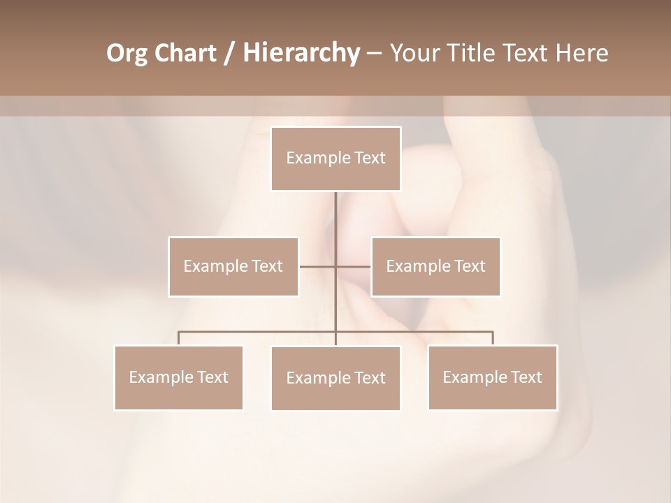 Contraceptive Bright Human PowerPoint Template