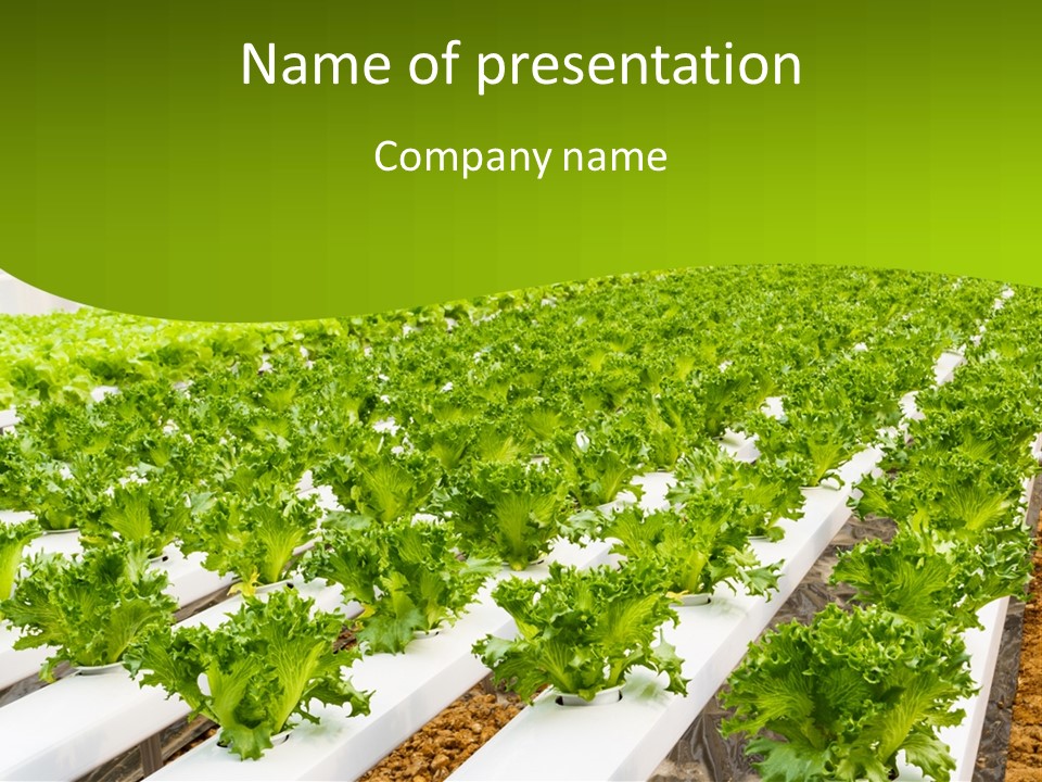 Food Farming Scene PowerPoint Template