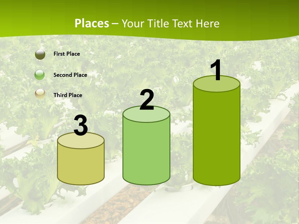 Food Farming Scene PowerPoint Template