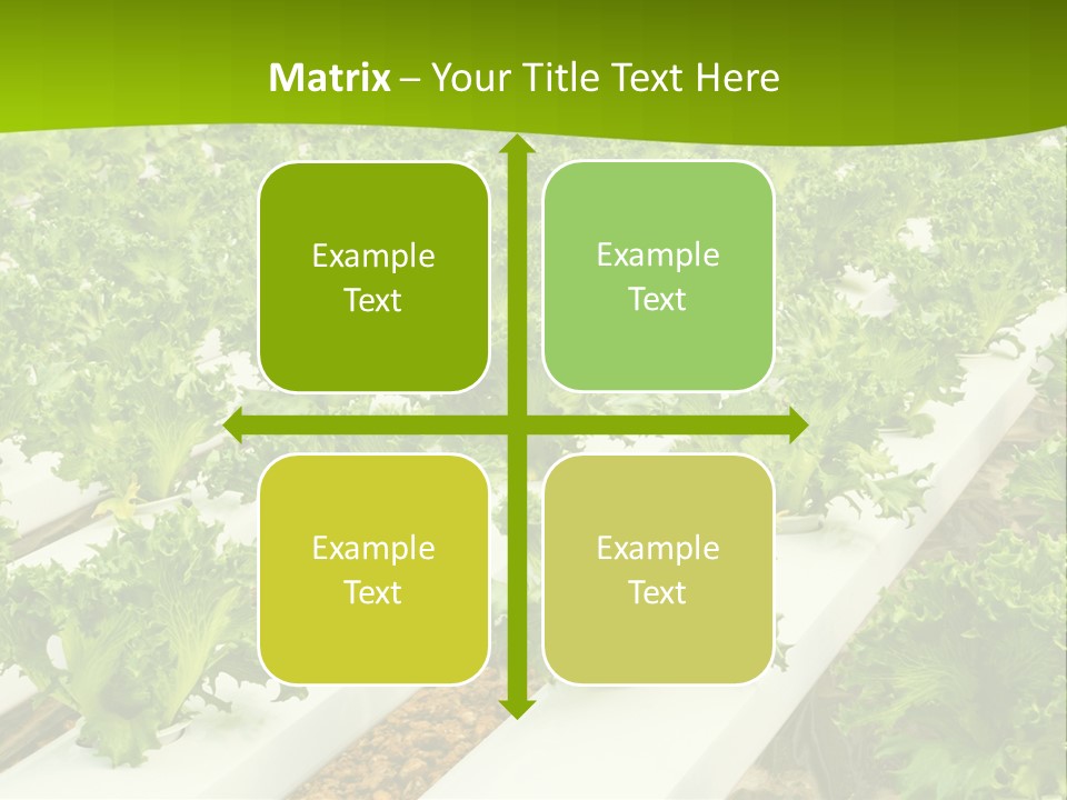 Food Farming Scene PowerPoint Template