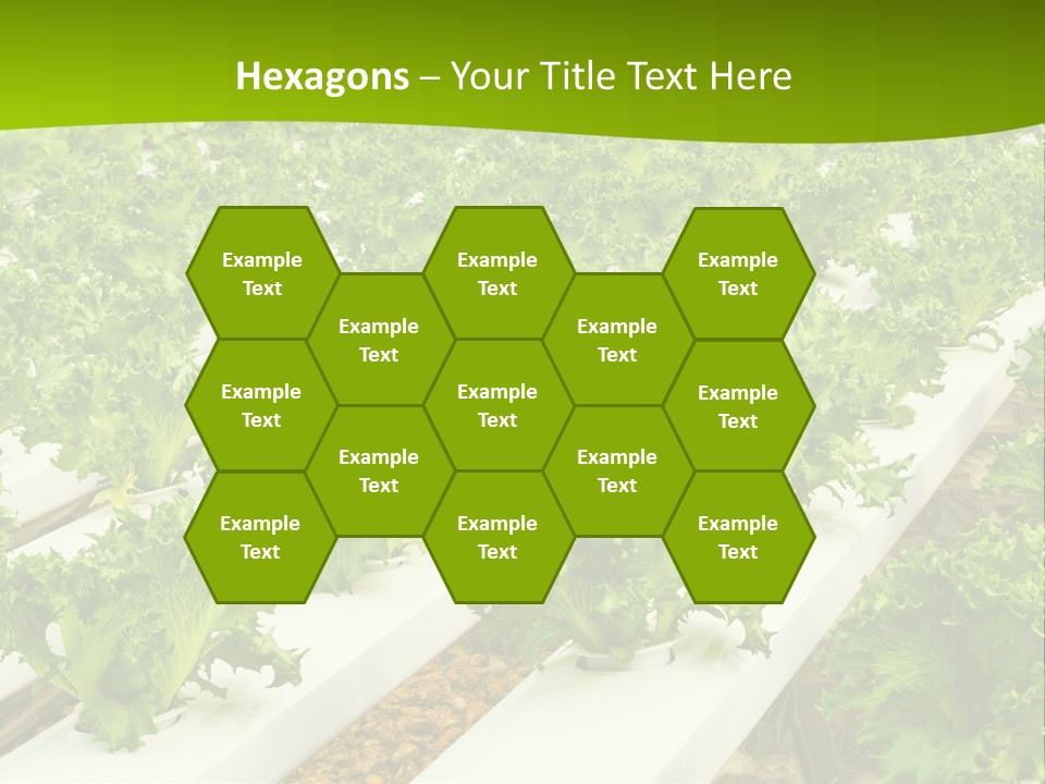 Food Farming Scene PowerPoint Template