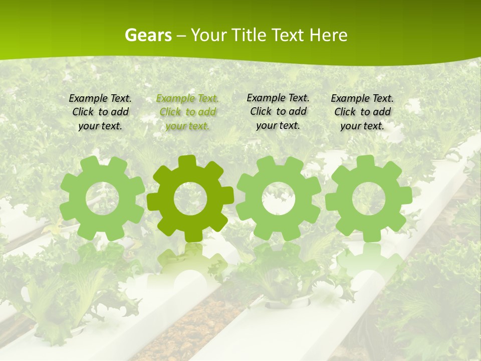 Food Farming Scene PowerPoint Template