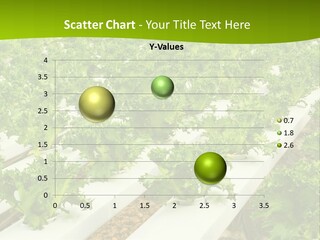 Food Farming Scene PowerPoint Template