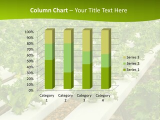 Food Farming Scene PowerPoint Template