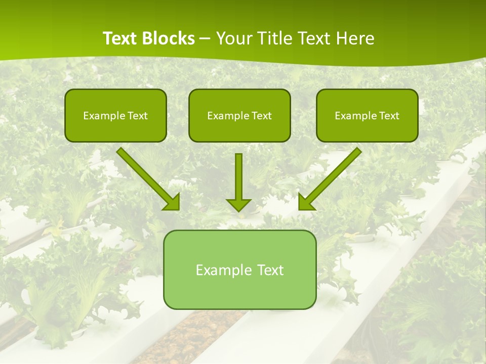 Food Farming Scene PowerPoint Template