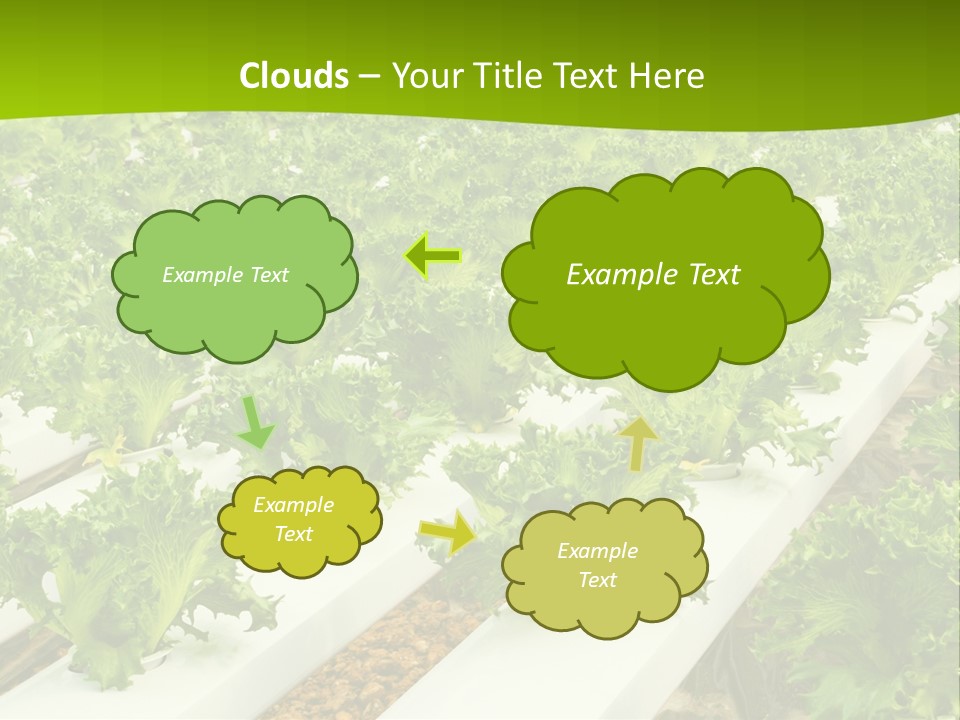 Food Farming Scene PowerPoint Template