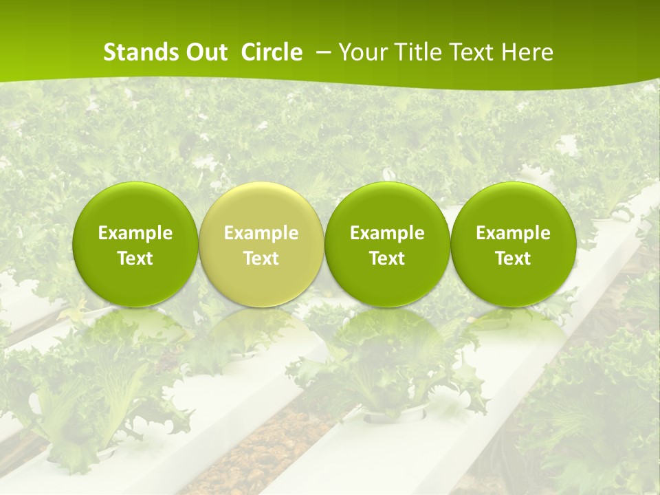 Food Farming Scene PowerPoint Template