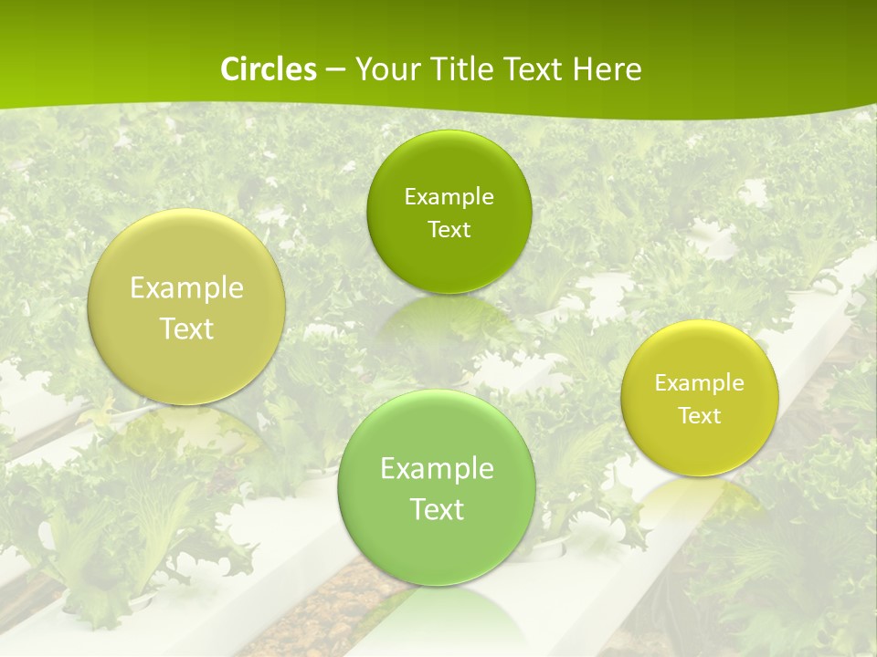 Food Farming Scene PowerPoint Template