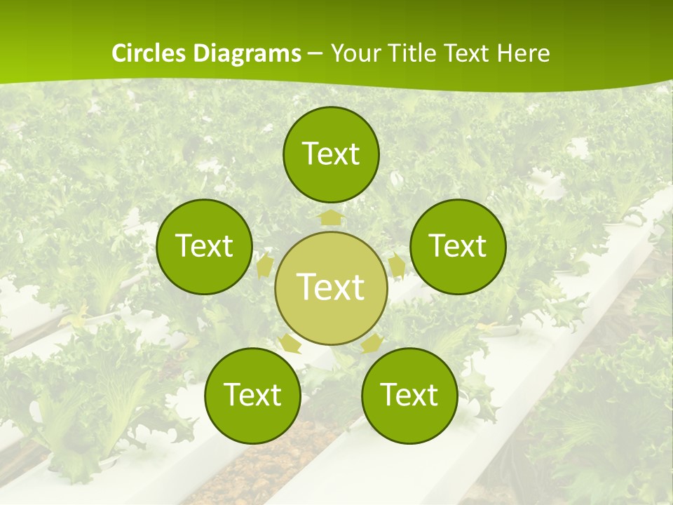 Food Farming Scene PowerPoint Template