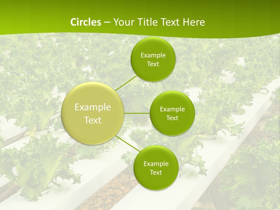 Food Farming Scene PowerPoint Template