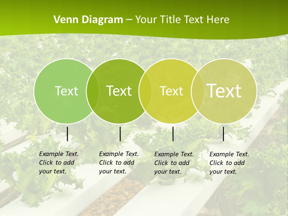 Food Farming Scene PowerPoint Template
