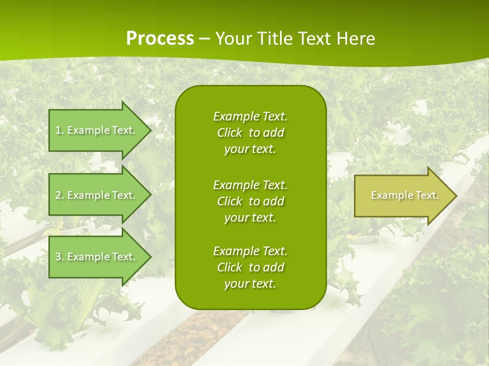 Food Farming Scene PowerPoint Template