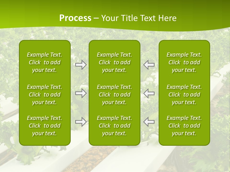 Food Farming Scene PowerPoint Template