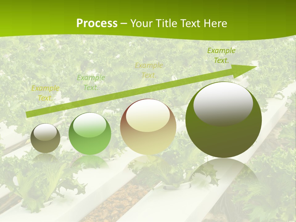 Food Farming Scene PowerPoint Template