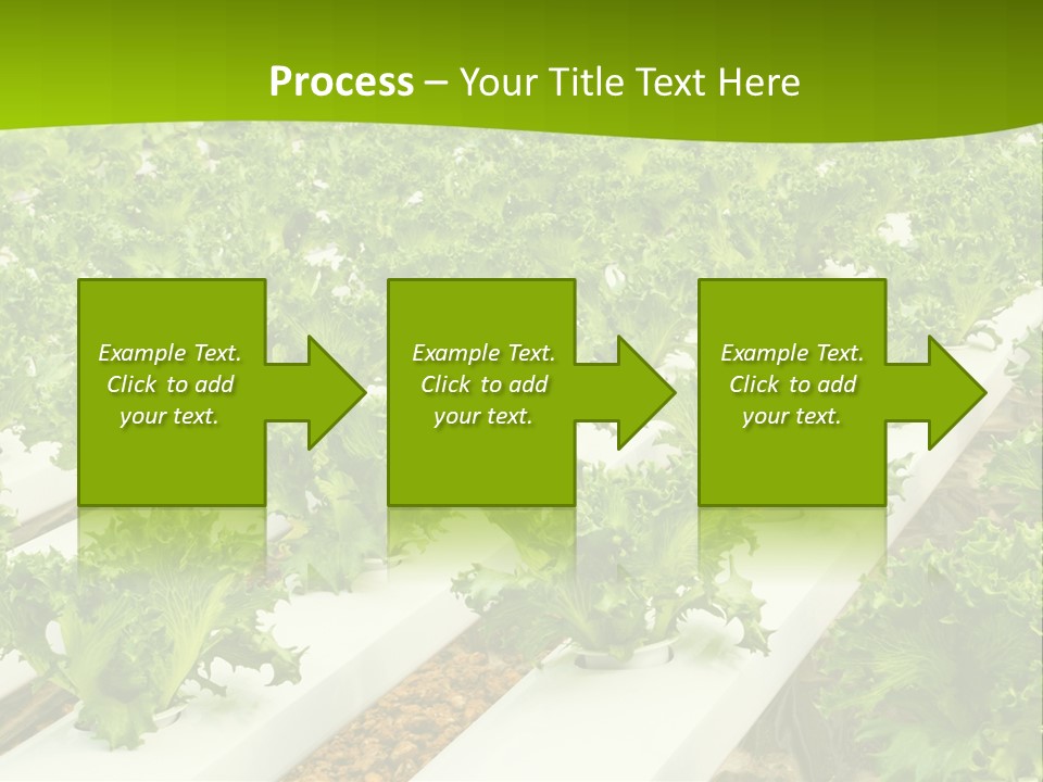Food Farming Scene PowerPoint Template