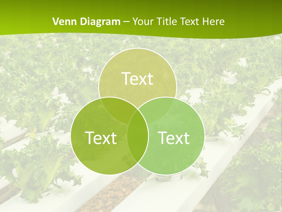 Food Farming Scene PowerPoint Template