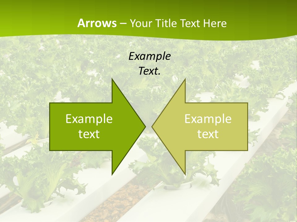 Food Farming Scene PowerPoint Template
