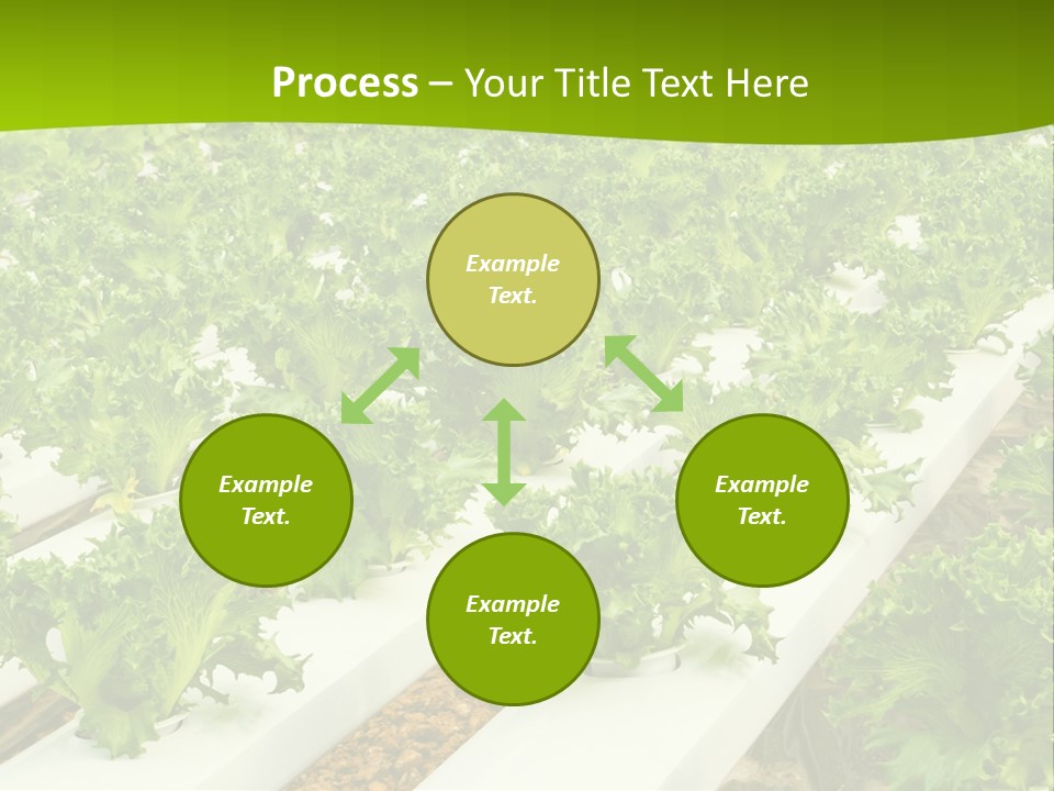 Food Farming Scene PowerPoint Template