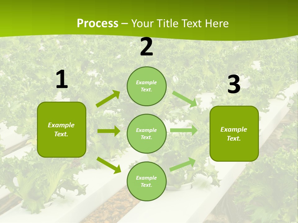 Food Farming Scene PowerPoint Template