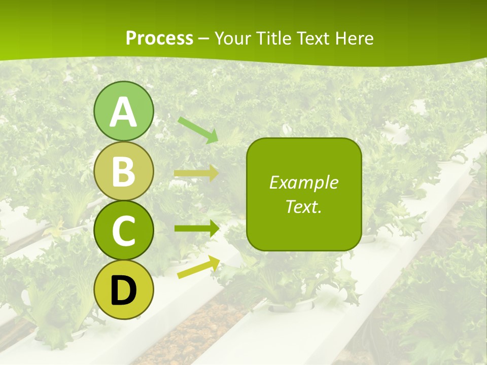 Food Farming Scene PowerPoint Template