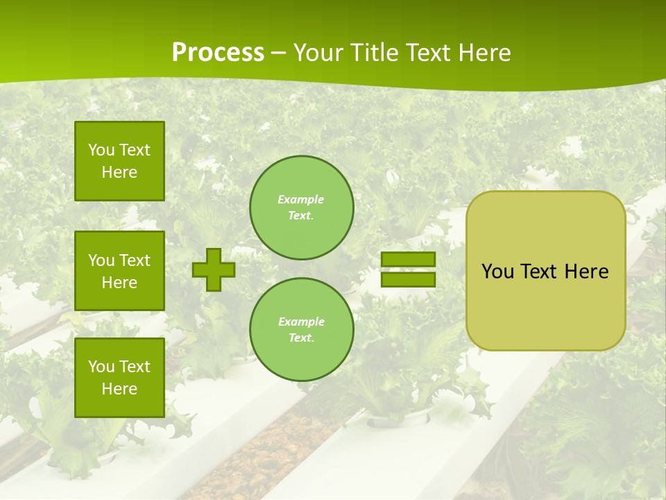 Food Farming Scene PowerPoint Template