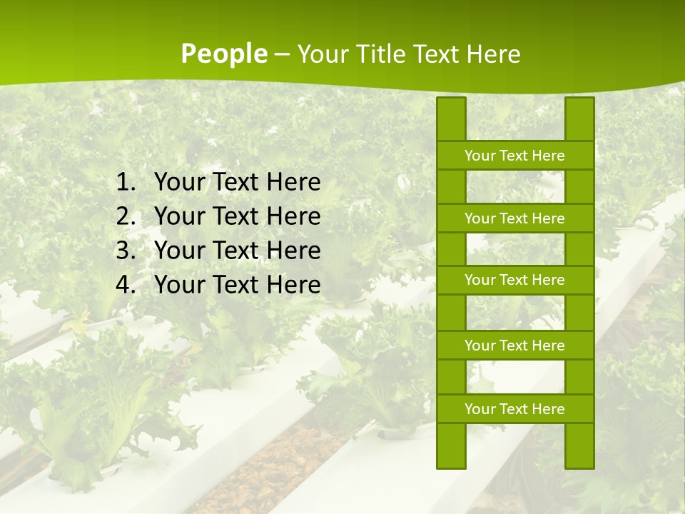 Food Farming Scene PowerPoint Template