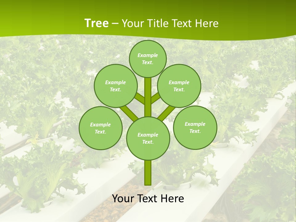 Food Farming Scene PowerPoint Template
