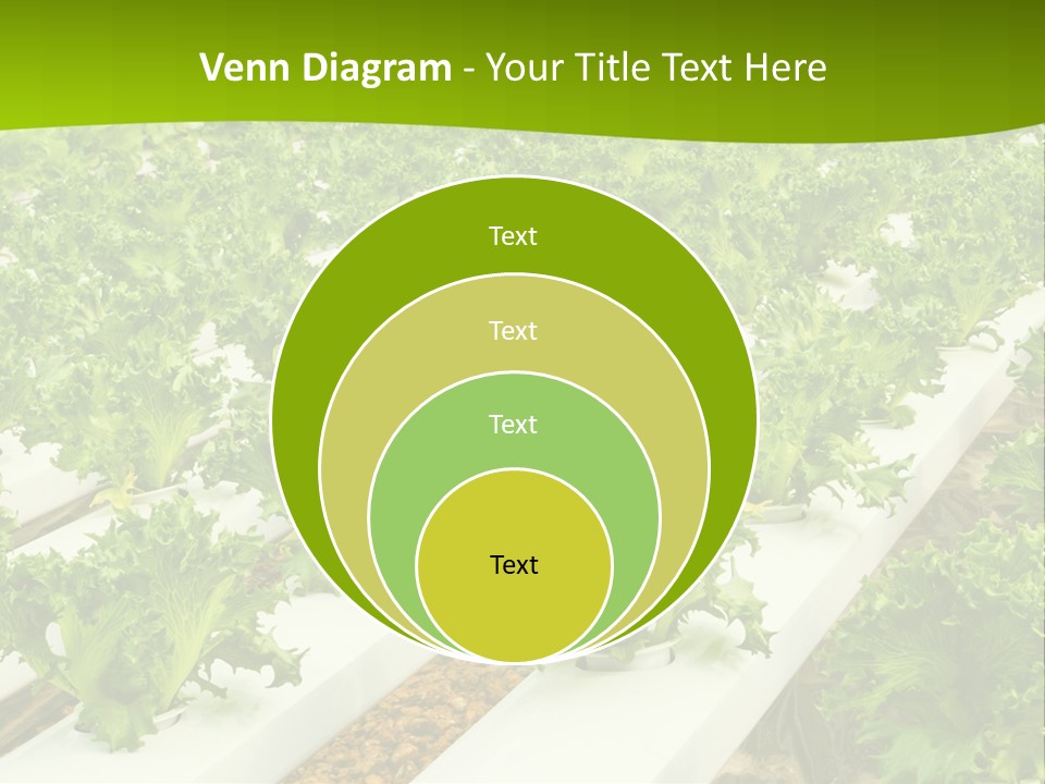 Food Farming Scene PowerPoint Template