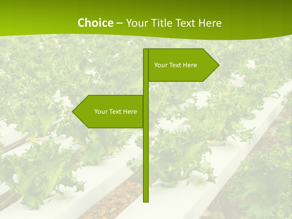 Food Farming Scene PowerPoint Template