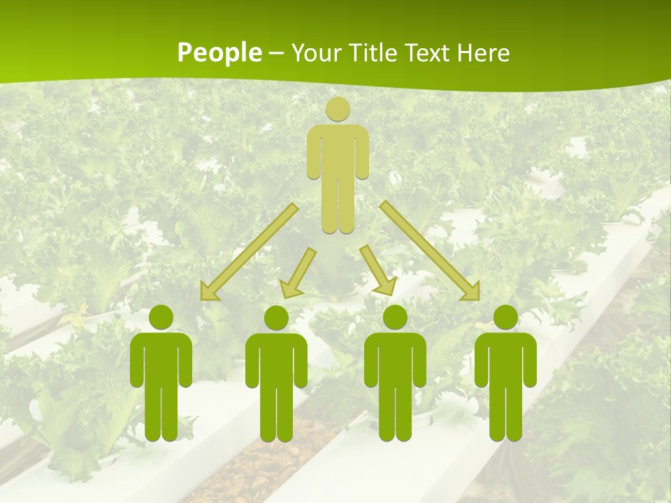 Food Farming Scene PowerPoint Template