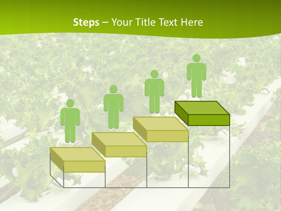 Food Farming Scene PowerPoint Template