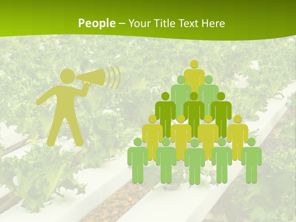 Food Farming Scene PowerPoint Template