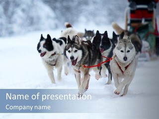 Team Day Range PowerPoint Template