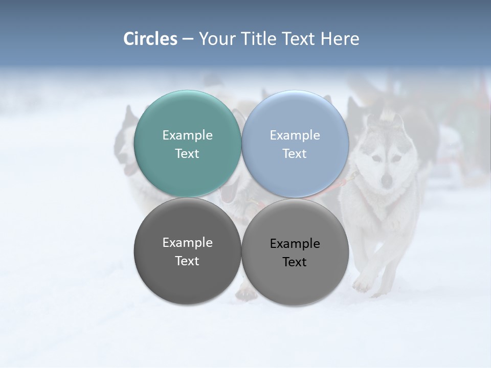 Team Day Range PowerPoint Template