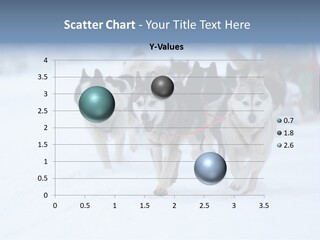 Team Day Range PowerPoint Template