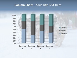 Team Day Range PowerPoint Template