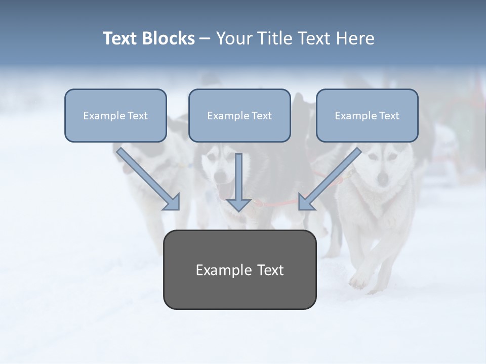 Team Day Range PowerPoint Template