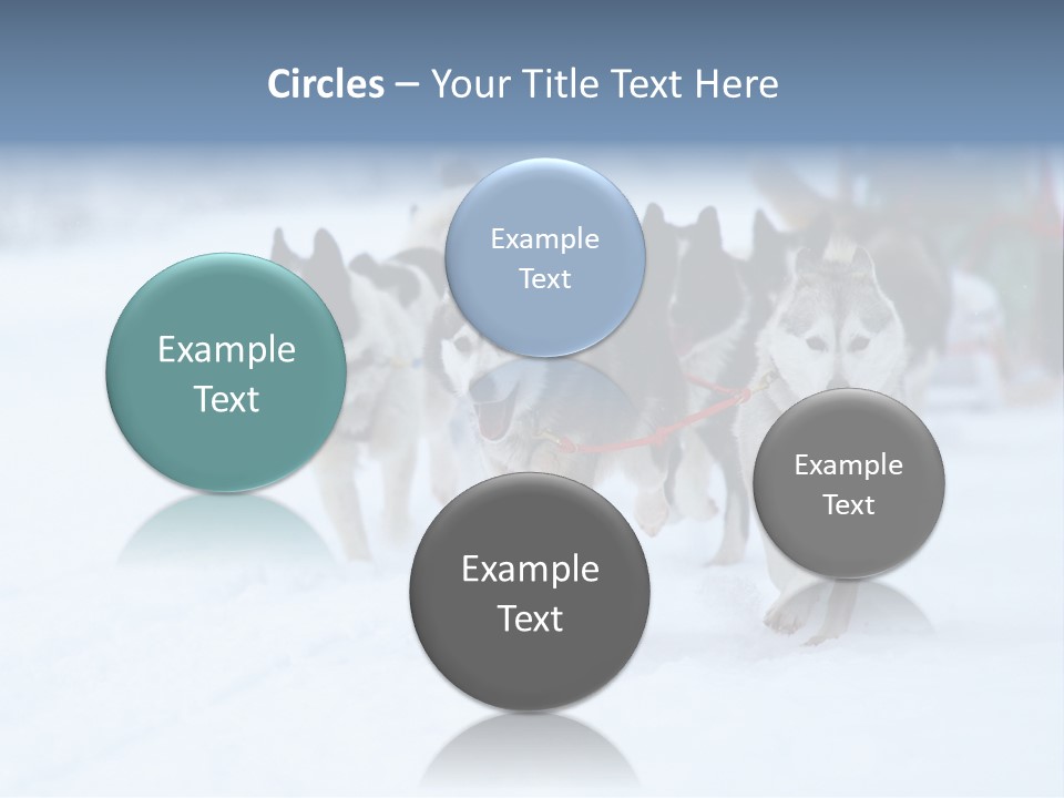 Team Day Range PowerPoint Template